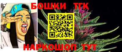индика Волжский
