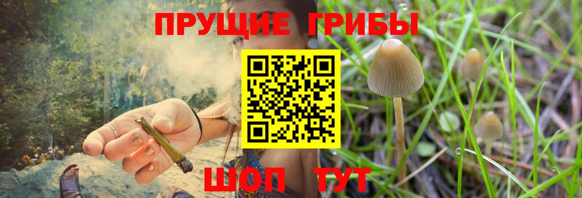 Муром  Галлюциногенные грибы MAGIC MUSHROOMS  Галлюциногенные грибы MAGIC MUSHROOMS  Вход с VPN 